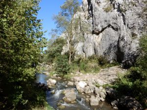 image116